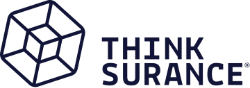 Logo von Thinksurance